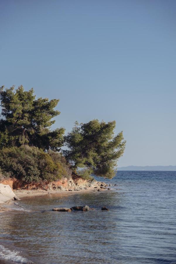 Bs Village Μεταμόρφωση Εξωτερικό φωτογραφία