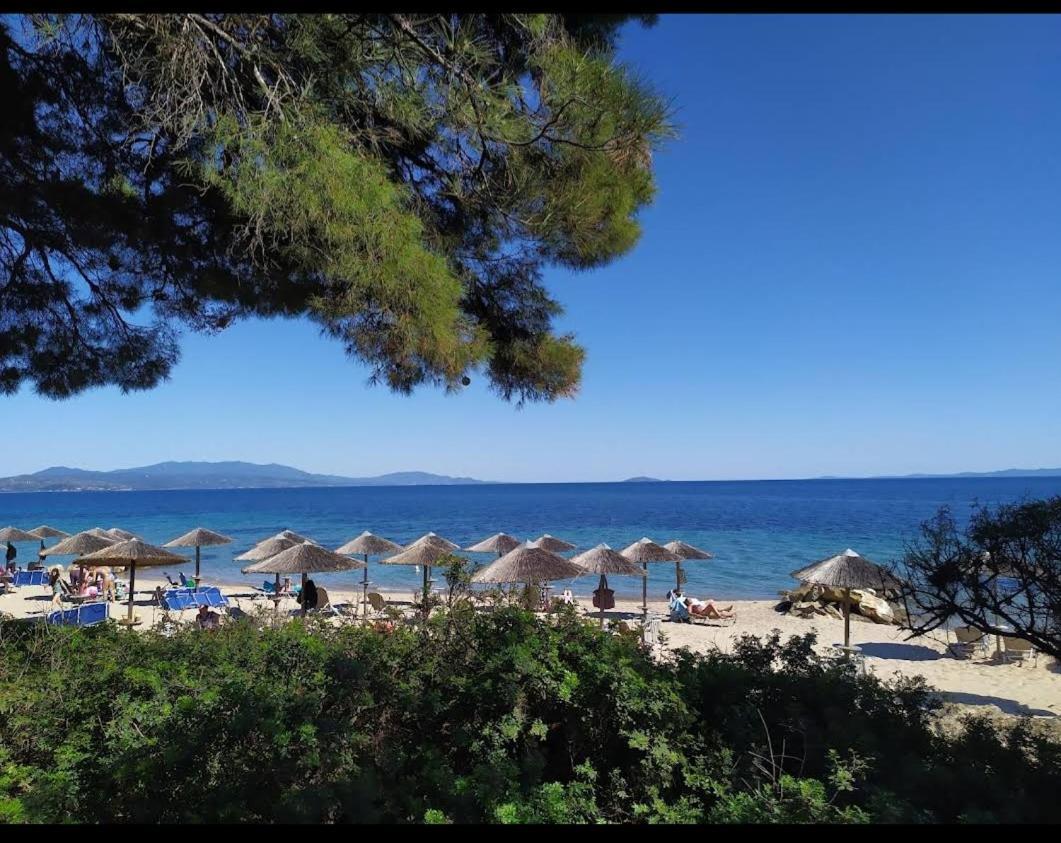 Bs Village Μεταμόρφωση Εξωτερικό φωτογραφία